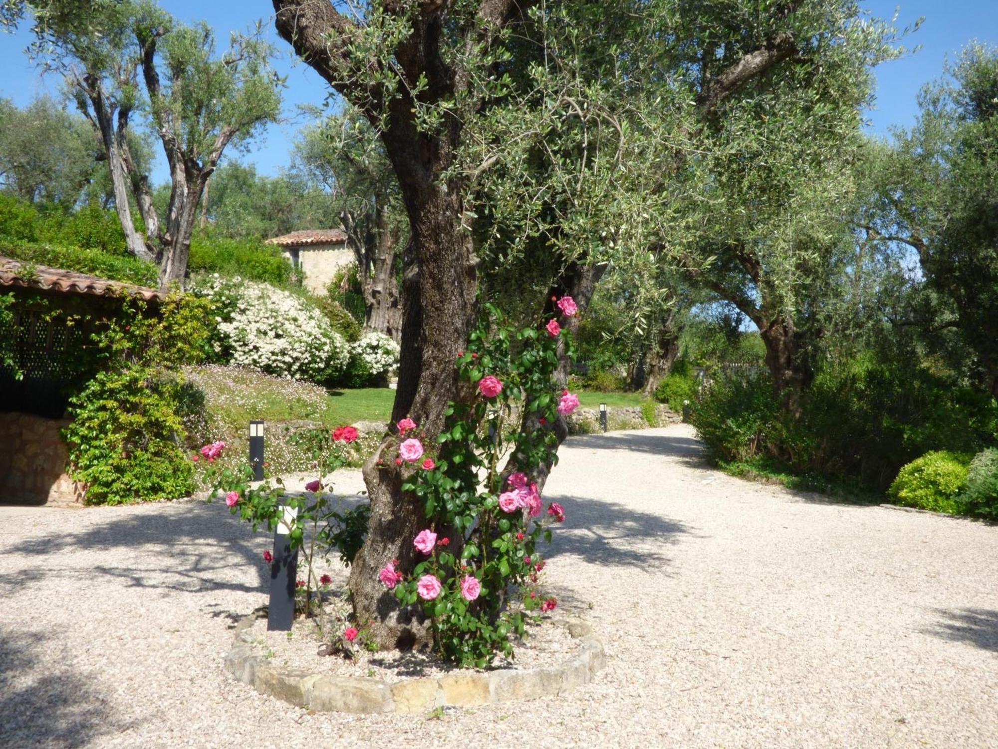 Apartment Picasso In Large Park With Heated Pool Chateauneuf-Grasse Luaran gambar